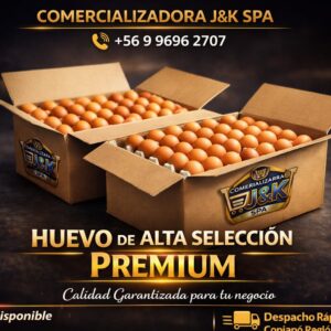 huevo extra color