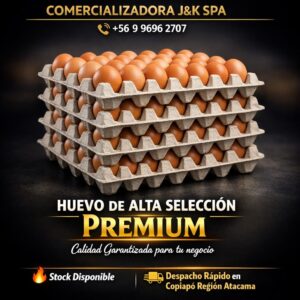 huevo primera